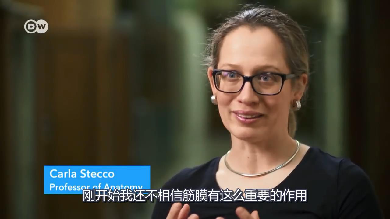 Carla Stecco Carla Stecco