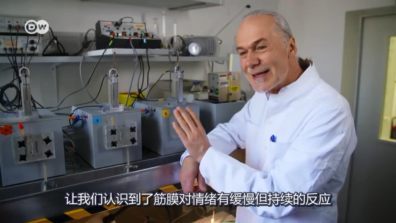 筋膜研究 筋膜研究