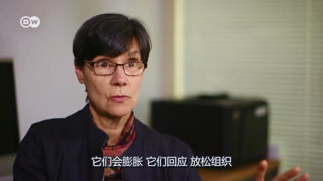 當(dāng)針灸遇上筋膜 當(dāng)針灸遇上筋膜