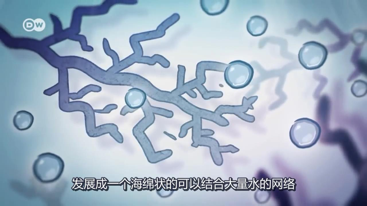 筋膜細(xì)胞 筋膜細(xì)胞