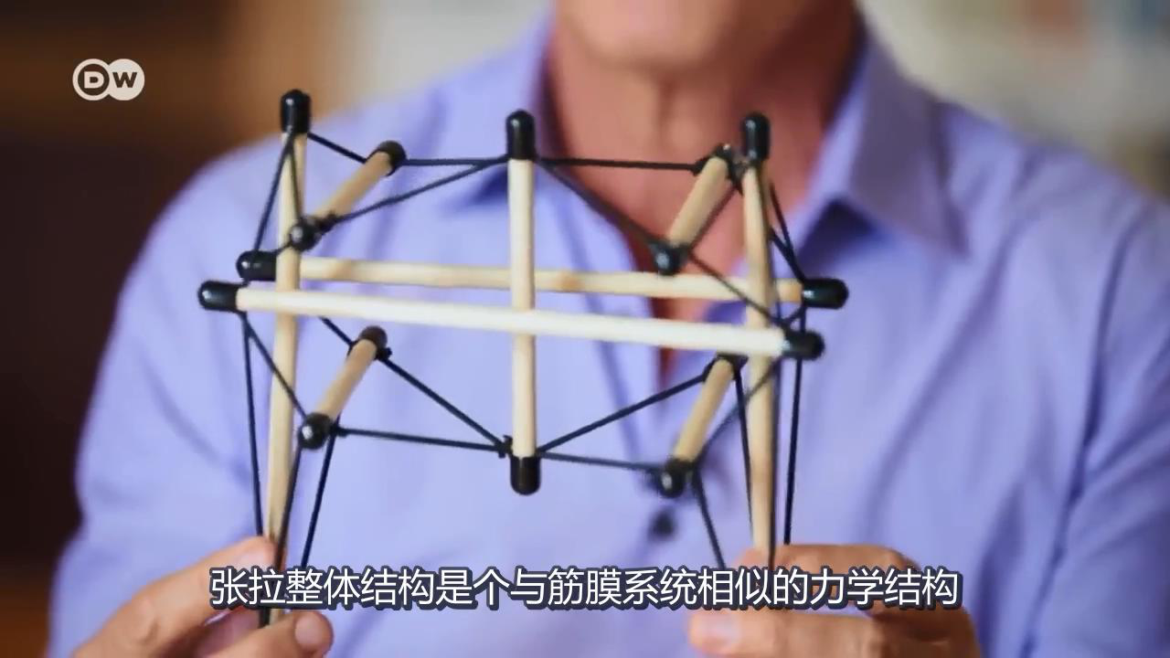 張拉整體模型 張拉整體模型