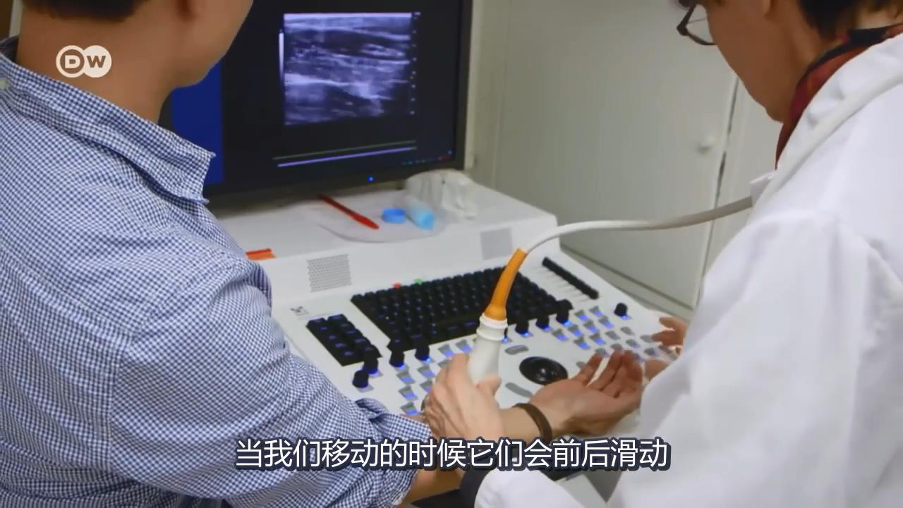 超聲下的筋膜 超聲下的筋膜