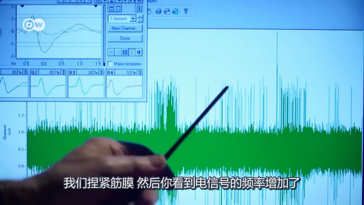 筋膜信號 筋膜信號