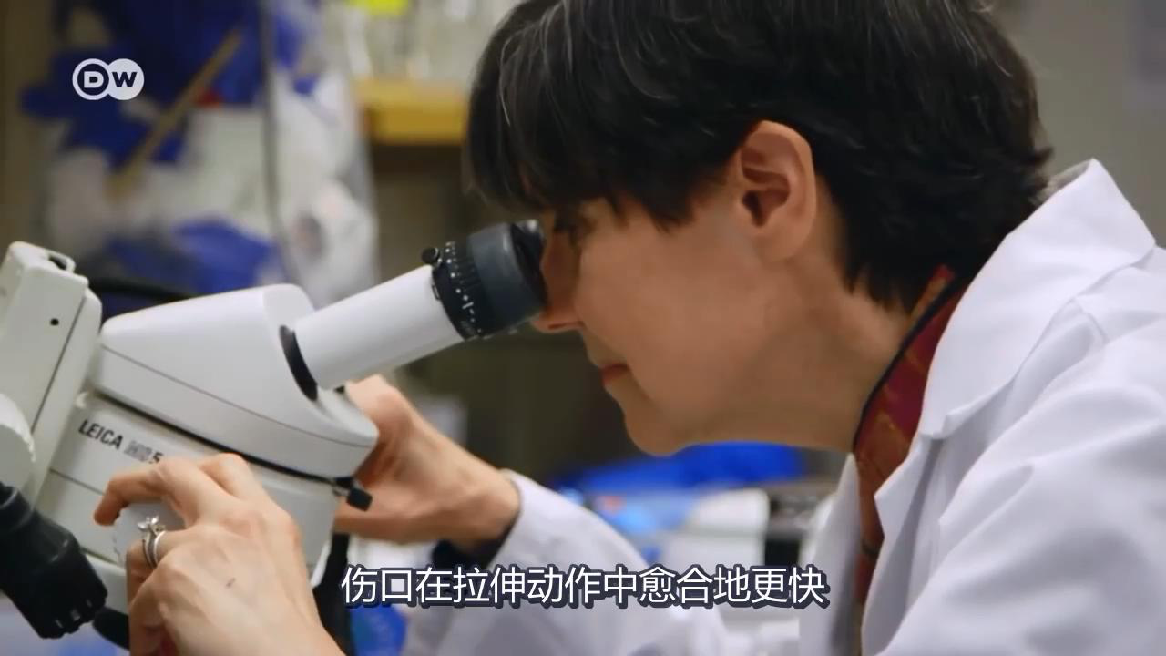 運動拉伸中的筋膜 運動拉伸中的筋膜