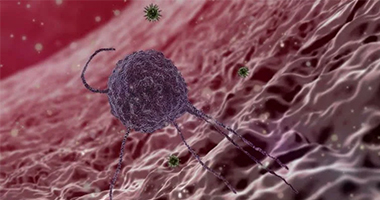 人體的結締組織網(wǎng)絡——論述肌筋膜的7大主要功能！