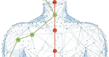 為何“內(nèi)臟筋膜手法”會如此重要？