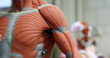 糾結器械治療or手法治療？我都要！