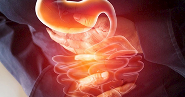 人體的第二個大腦——消化系統(tǒng)筋膜序列