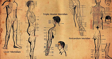 經(jīng)絡與筋膜：揭秘兩大體系的淵源