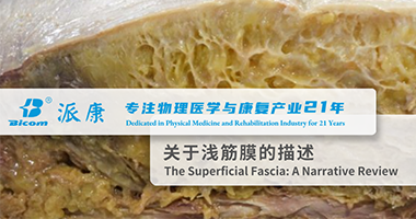 一篇講全【淺筋膜】系統(tǒng)